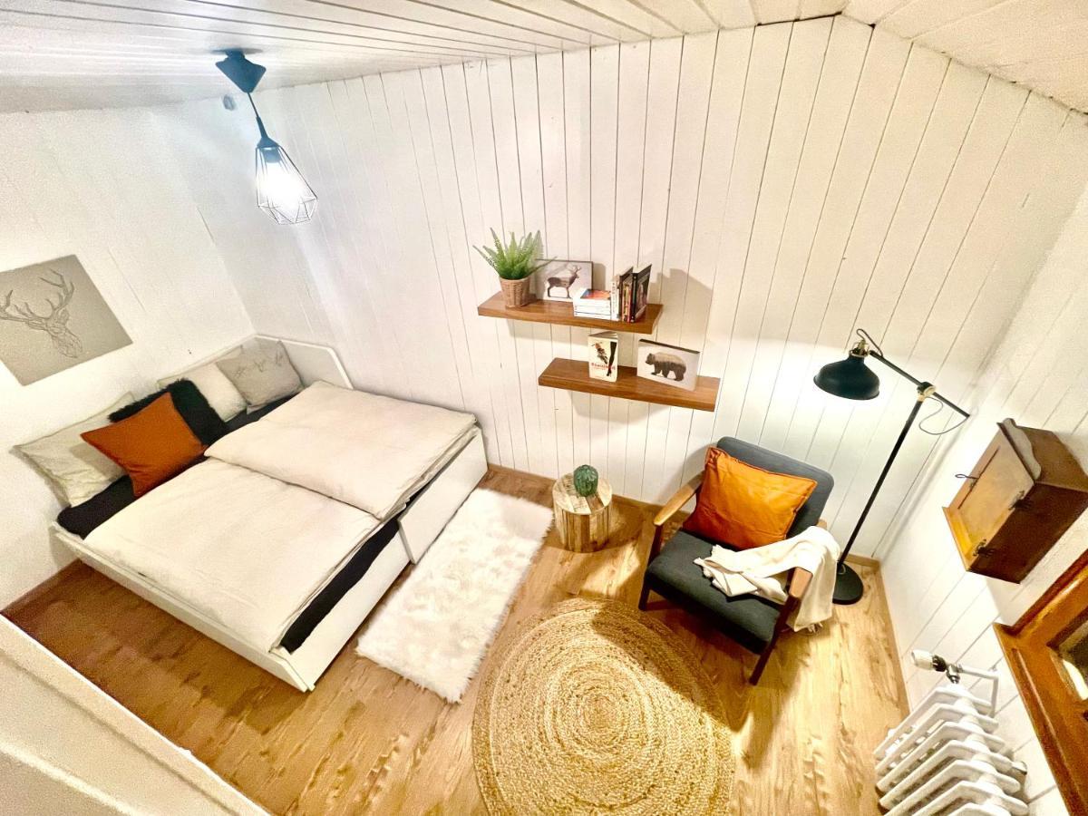 Chalet 4 Personnes Avec Sauna 莱森 外观 照片