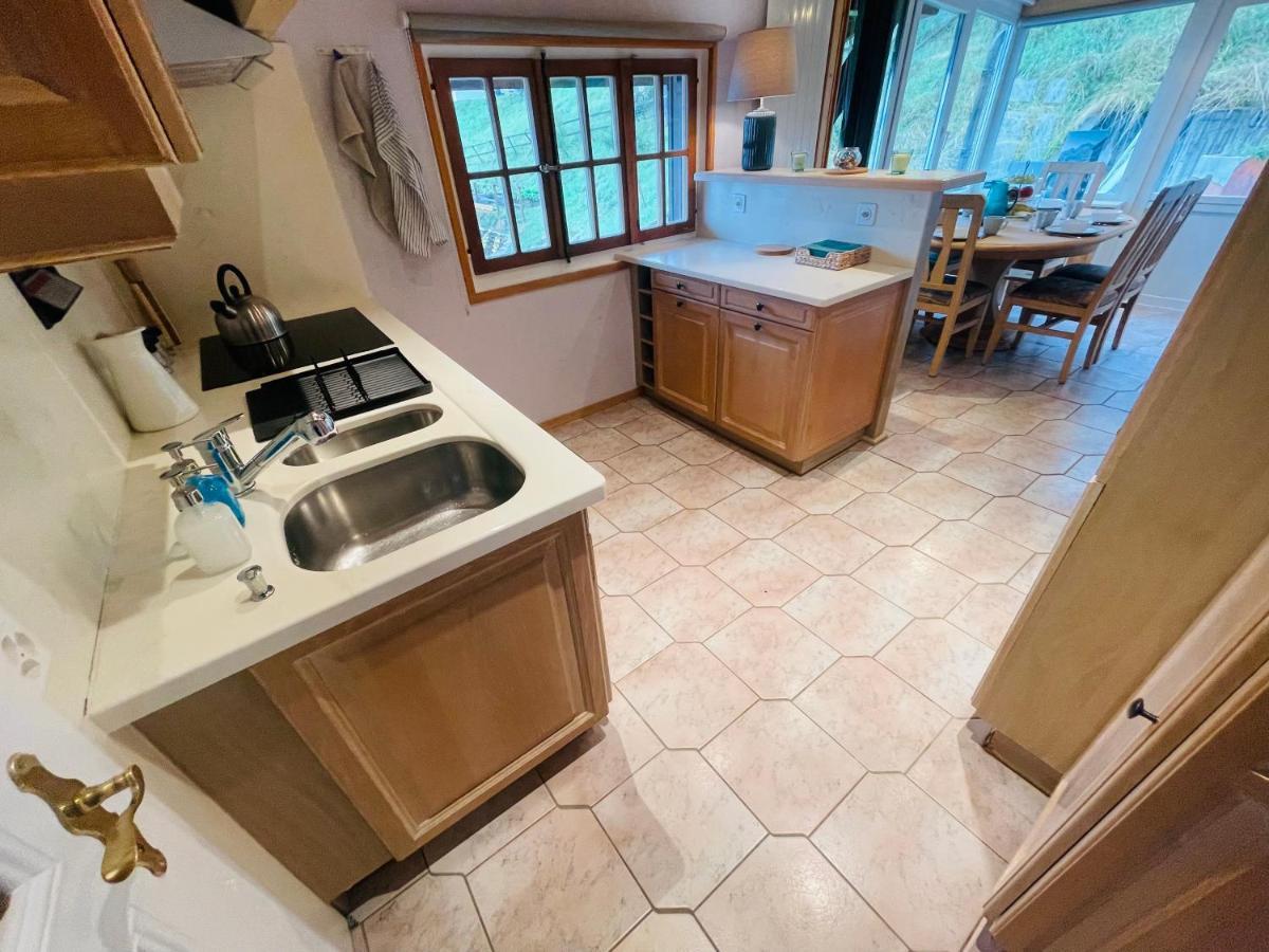 Chalet 4 Personnes Avec Sauna 莱森 外观 照片