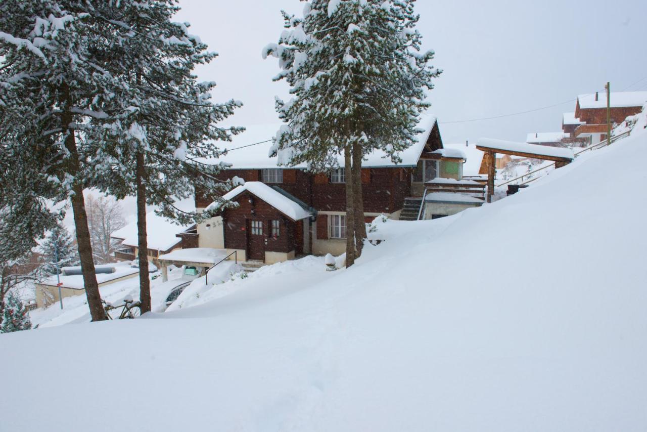 Chalet 4 Personnes Avec Sauna 莱森 外观 照片
