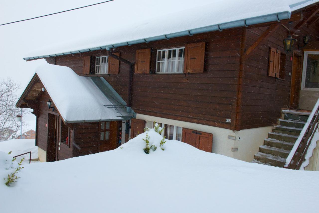 Chalet 4 Personnes Avec Sauna 莱森 外观 照片