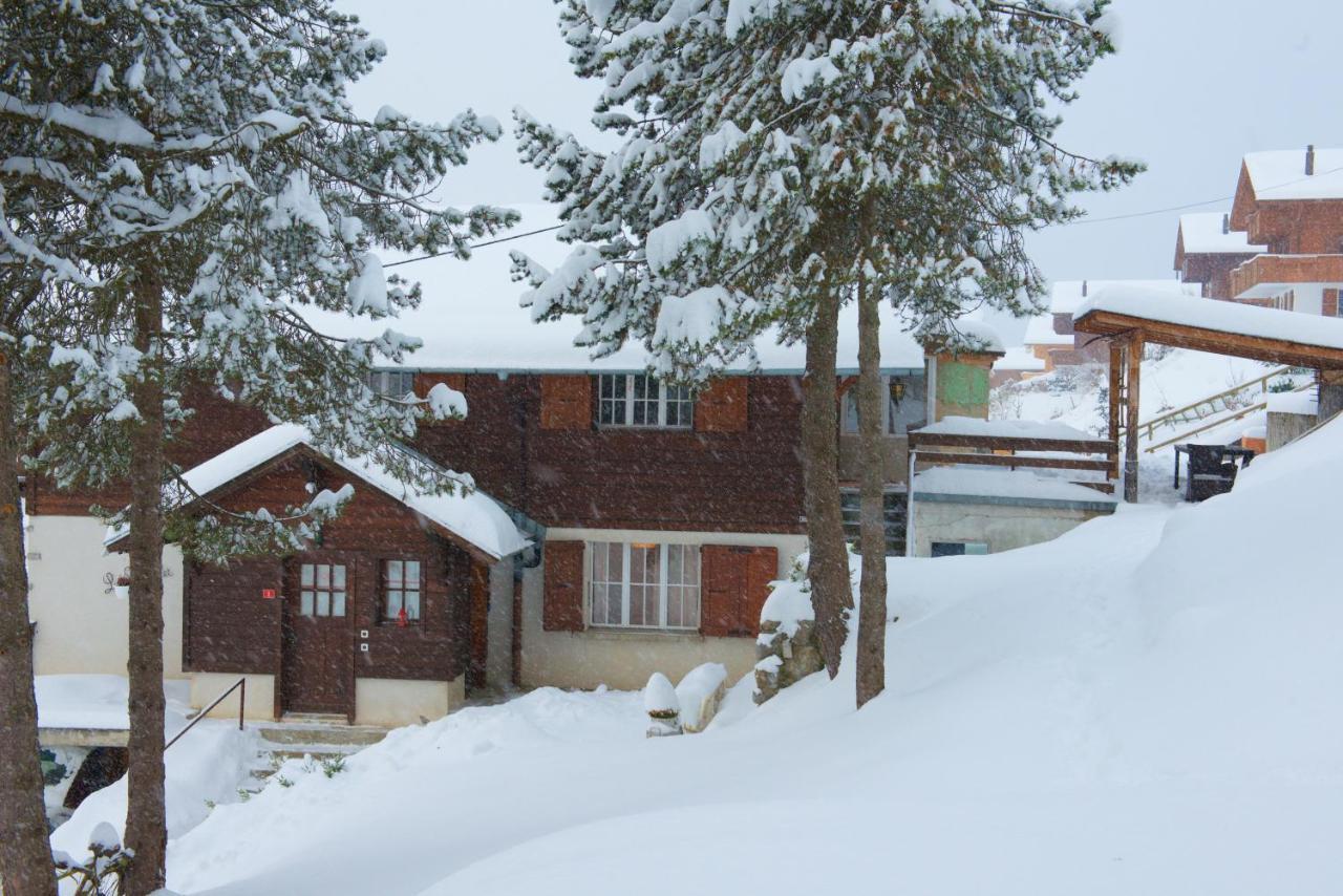 Chalet 4 Personnes Avec Sauna 莱森 外观 照片