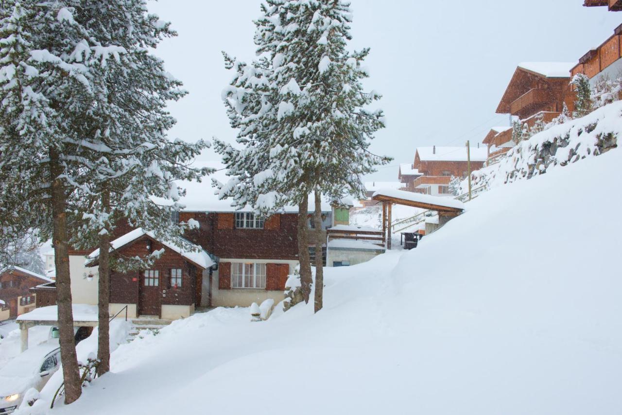 Chalet 4 Personnes Avec Sauna 莱森 外观 照片